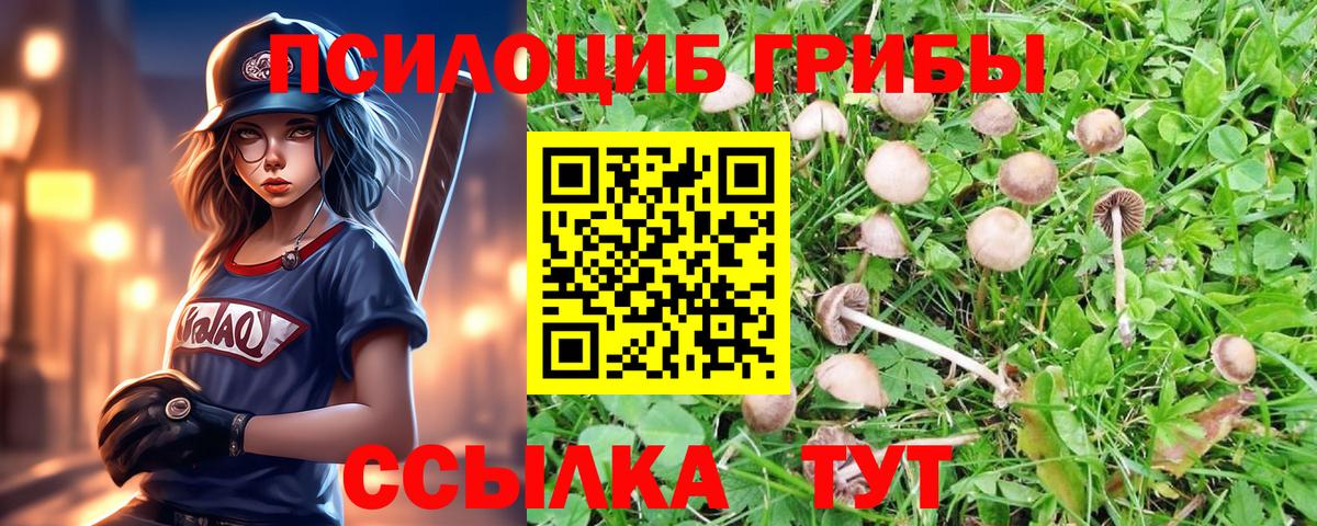 Галлюциногенные грибы MAGIC MUSHROOMS  Вход с VPN  Псилоцибиновые грибы Psilocybe  Рыбинск 