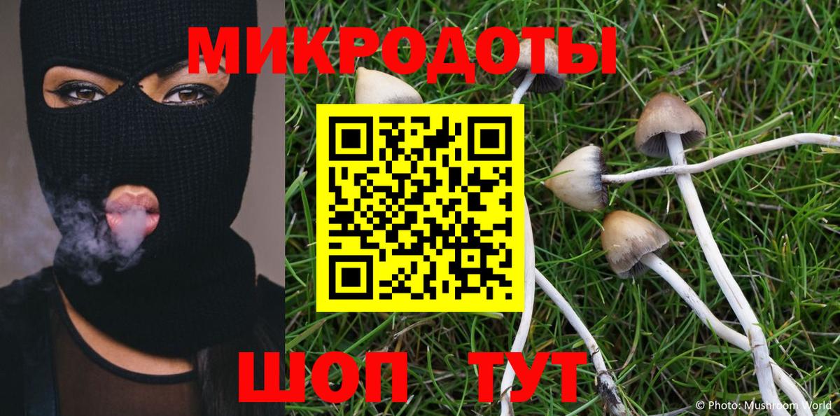 Псилоцибиновые грибы мицелий Рыбинск